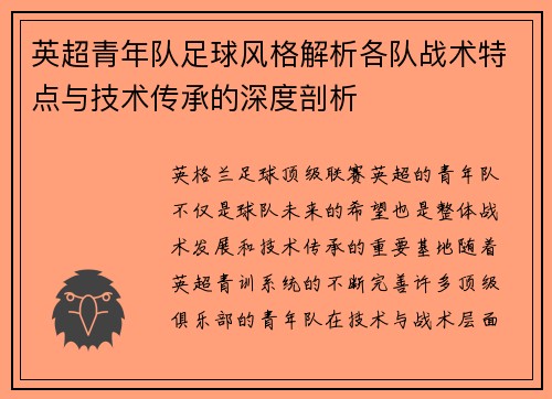 英超青年队足球风格解析各队战术特点与技术传承的深度剖析