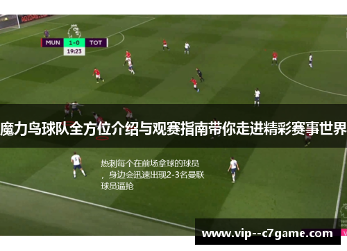 魔力鸟球队全方位介绍与观赛指南带你走进精彩赛事世界