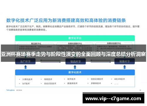 亚洲杯赛场赛季走势与阶段性演变的全面回顾与深度总结分析洞察